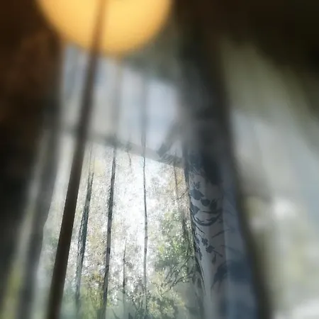 La Libellula Alojamento de Acomodação e Pequeno-almoço 3*