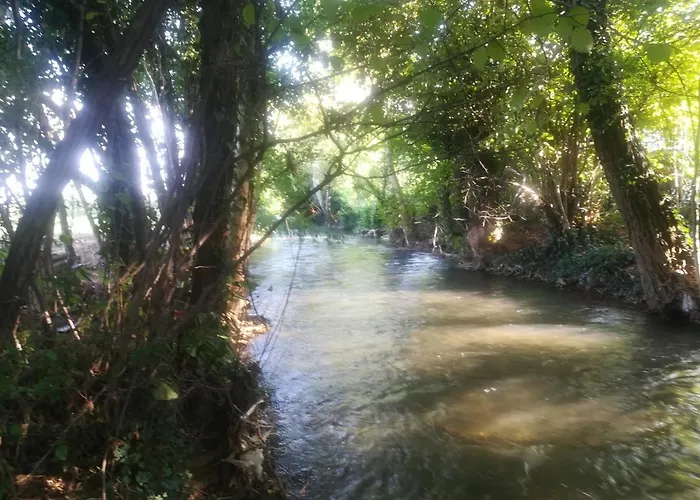 Bed & Breakfast La Libellula